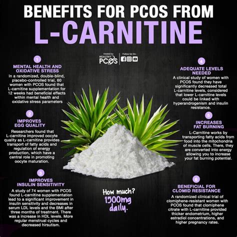 best l carnitine for pcos.